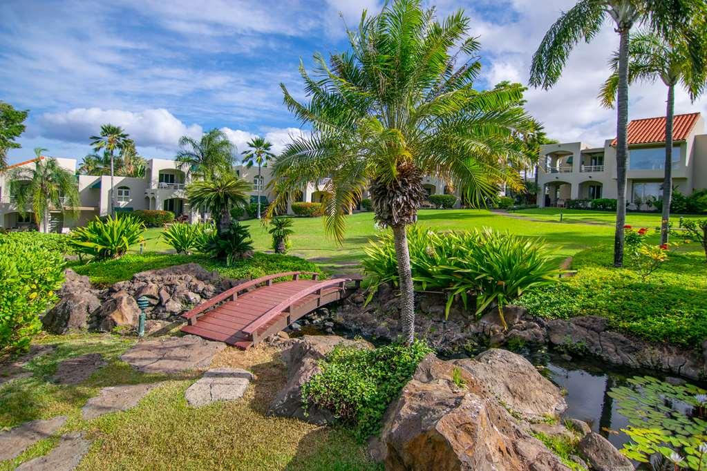 Apartmán Palms At Wailea Wailea  Exteriér fotografie